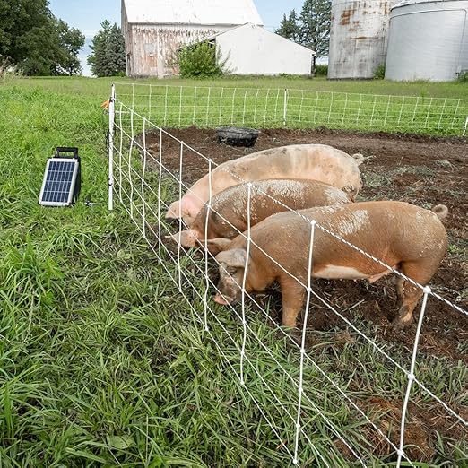 Premier 1 Pig QuikFence® Electric Netting | White/Black Single Spike High Visibility Fence – 30"H x 100'L