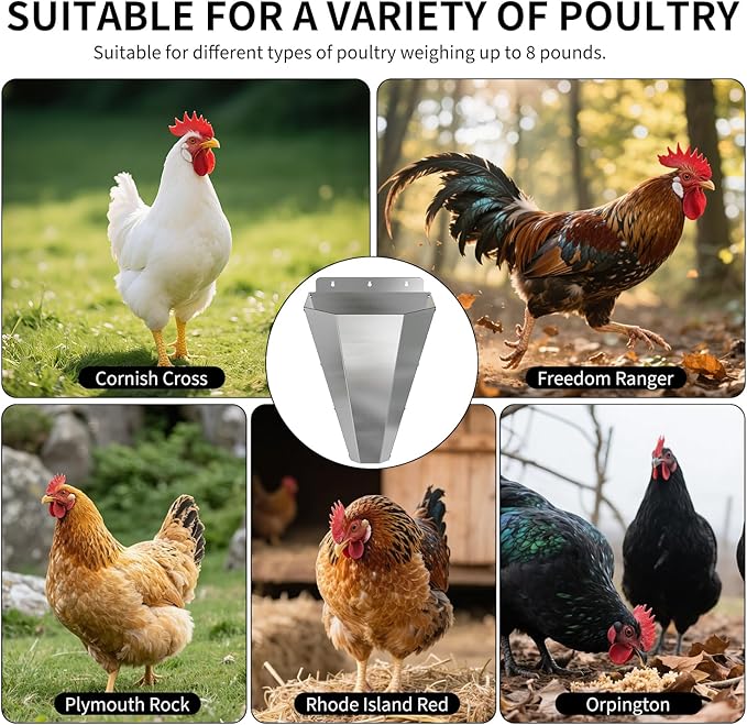 Large Chicken Cone for Butchering 2 Pack, Stainless Steel Kill Cones with 2 Pairs of Safety Gloves, Flat-Back Design, for Killing Chickens, Ducks, Turkeys & Poultry up to 18 lbs (Silver)