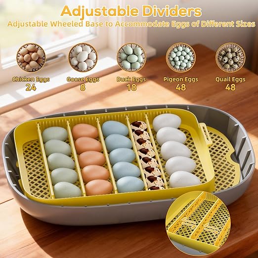 Incubator for Hatching Eggs-24 Egg Capacity, Automatic Egg Turner, Temperature & Humidity Control, 360° Viewing for Chicken, Duck and Quail Eggs