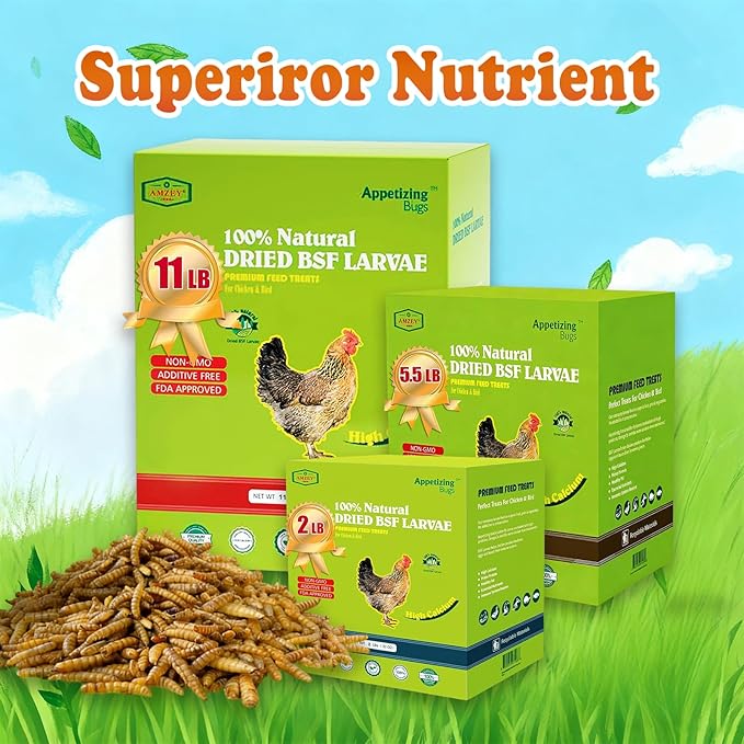 Amzey Dried Black Soldier Fly Larva/Dried Mealworms -2 LBS- 100% Natural BSF Larvae - 85XMore Calcium Than Mealworms - High Calcium Treats for Chickens, Birds, Reptiles, Hedgehog, Geckos, Turtles