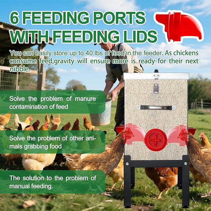 40 LB Automatic Chicken Feeder with 6 Feeding Ports, No-Waste Poultry Feeder with Locking Lid and Adjustable Legs for Inside Chicken Coops Metal Automatic Poultry Feeders (Sliver, 40LB with 6 Ports)