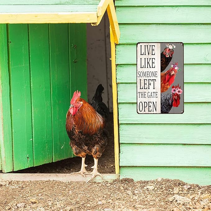 Chiken Gifts Vintage Chicken Sign Live Like Someone Left The Gate Open Tin Sign for Home Chicken Coop Farm Fence Kitchen Bathroom Bedroom Decor 8x12 Inches (3298)