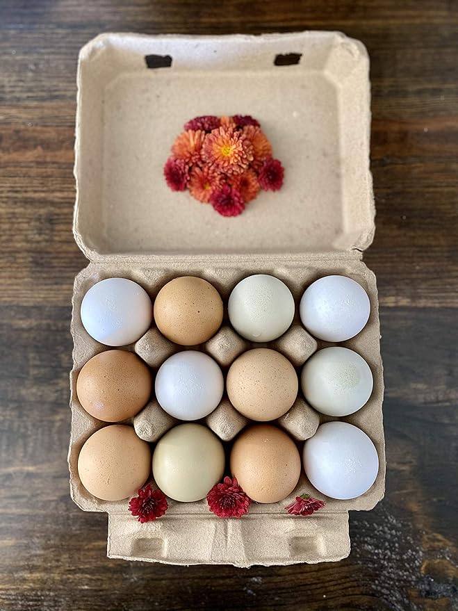 "Vintage Egg Cartons for 12 Large Eggs – Classic 3x4 Layout – Durable Recycled Cardboard – Farmhouse Style – Eco-Friendly Packaging - Tan 200 Pack