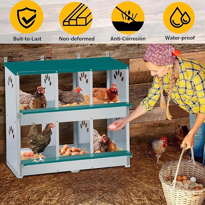 Rustproof Galvanized Steel Build - Chicken Nesting Box for Small Animals - 6 Compartments, Large Vented Holes, Easy Clean, Secure Egg Collection, Wall-Mounted - Green, 6 Compartments ZW