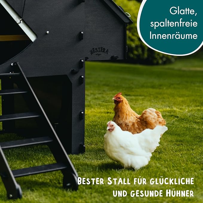Small Raised Chicken Coop 2-3 Chickens - 25yr Lifespan Chicken Coop for 3 Chickens Or 5 Bantams | 1 Rounded Perch for Chickens & Hens to Roost | Raised Hen House for Poultry with 1 Nesting Box & Ramp