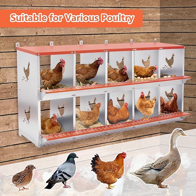 Chicken Nesting Boxes for Laying Eggs with Soft Chicken Nesting Pads &Vented Holes Wall Mountable Laying Boxes with Roll Away Egg Collection Easy to Clean and Install Orange (10 Compartment)