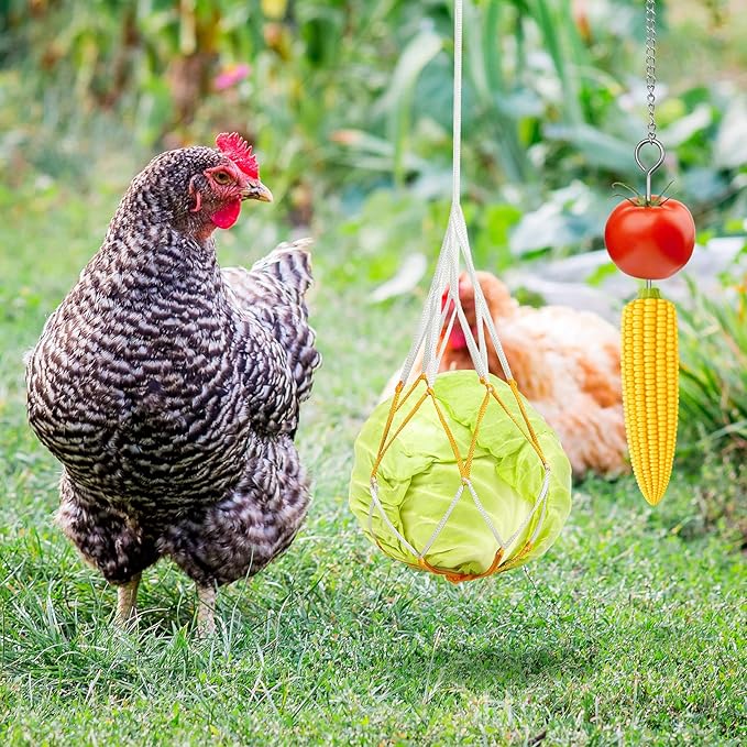 Gejoy 6 Pieces Chicken Toys for Coop Accessries Wooden Stand Mirror with Bells Coop Swing Veggies Fruit Skewer Vegetable Hanging Feeder Chewing Foraging Toys for Chicken