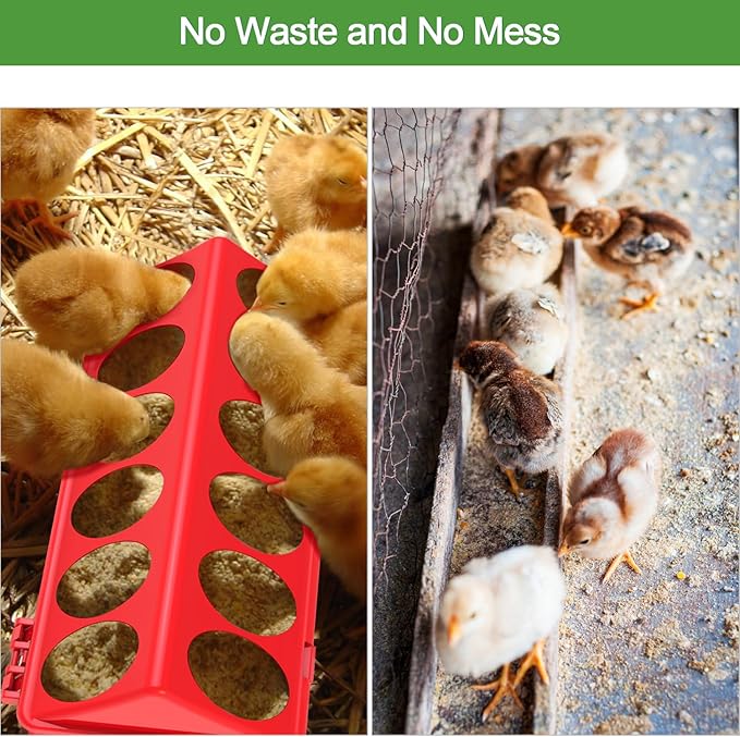 8Pcs Chick Feeder and Waterer Kit, Baby Chicken Supplies with Chicks Perch, Plastic Feeder Trough and 1.2L Waterer