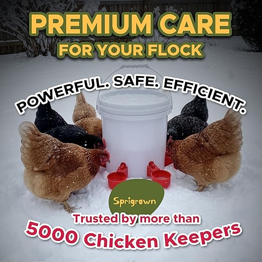 500W Chicken Water Heater, Submersible 5 Gallon Bucket Heater Deicer, Heated Chicken Waterer for Winter, Heated Poultry Waterer, Freeze Proof, Outdoor Stock Tank and Water Trough Warmer for Livestock