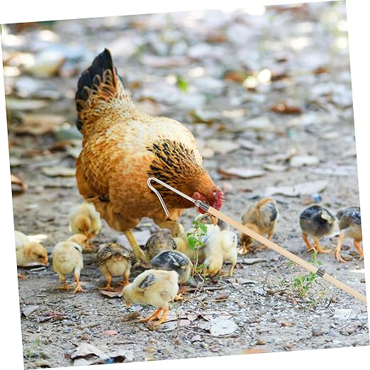 Poultry Catching Tool Heavy Duty Chicken Catcher Hook for Geese Animals Construction for Efficient Farm Animal Safety Focused Equipment