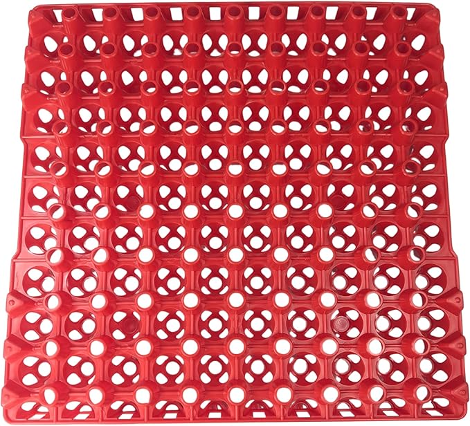 Hen's Choice 90 Egg Plastic Trays for Quail, Pigeon, Dove, Birds. Incubator Flat Carton (Red, 6 Pack)