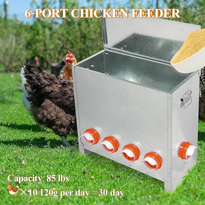 Automatic Chicken Feeder No Waste Large Capacity 85lbs 6-Ports Metal Poultry Feeder with Pull Handle for Chickens Geese Ducks Poultry Coop Weatherproof Design
