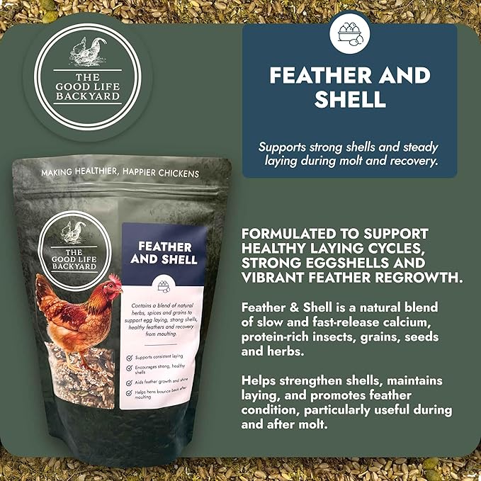 Good Life Backyard Feather and Shell for Chickens – Calcium and Protein Support Blend for Feathers and Eggshells (2 lb Pouch) | Hatching Time