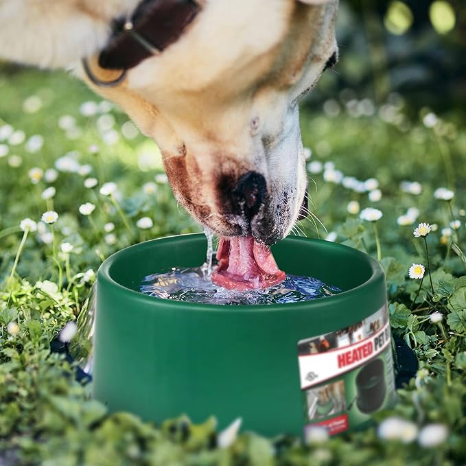 Farm Innovators P-60 1.5 Gallon 60 Watt Heated Pet Water Bowl, Thermostatic Control & Anti Chew Cord, Green (3 Pack)