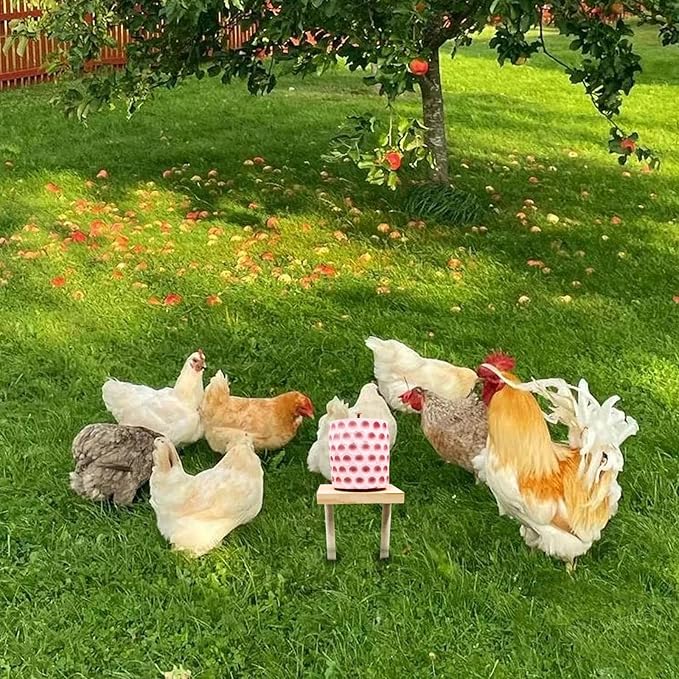 Chicken Coop Accessories, Beak Grinding Calcium Stone with Woodem Stake, Chicken Enrichment Toys, Chicken Coop Toys for Hens, Ducks, Geese, Turkeys, Poultry