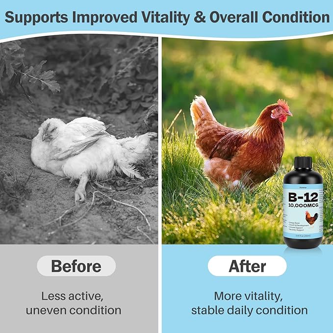 Vitamin B12 Liquid for Poultry, 10000 MCG Nutritional Supplement for Chickens, Supports Daily Vitality & Development, Liquid Vitamin Feed Additive for Hens, Roosters, Ducks, Geese & Turkeys