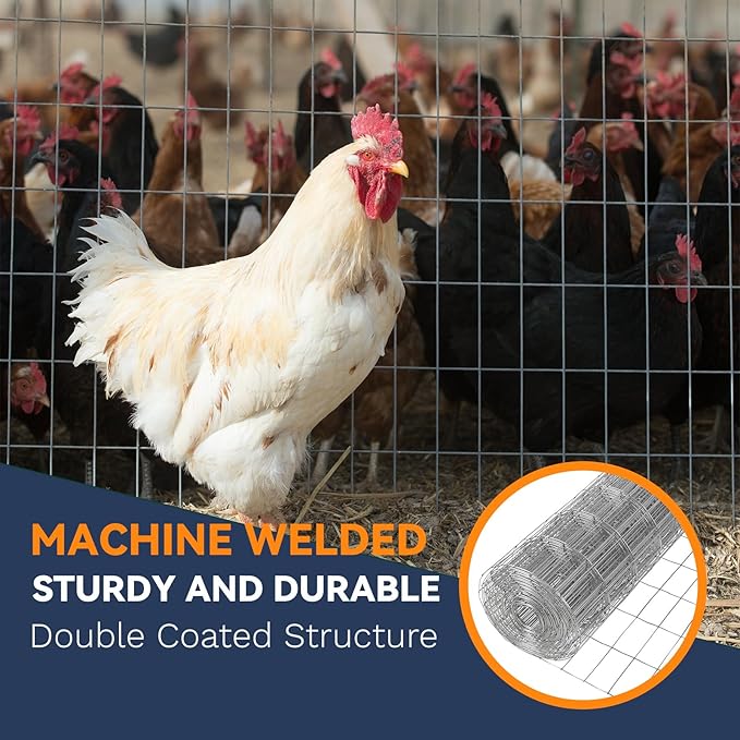 6'×50' Welded Wire Mesh,Galvanized Chicken Wire Fencing 2'' X 4'' 15GA, Garden Decorative Fence for Chicken Coop Barrier, Rabbit Snake Fences, Poultry Enclosures