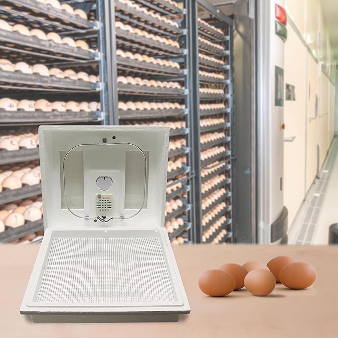 Farm Innovators 2100 Heated Still Air Incubator for 4 Dozen Eggs with Built in Hygrometer, Solid State Circuitry, and 2 Large Viewing Windows (3 Pack)