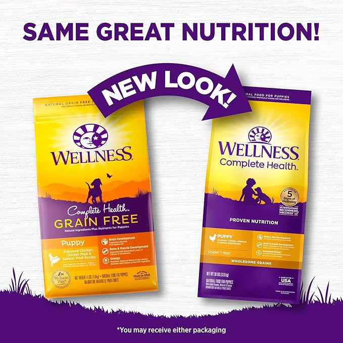 Wellness Complete Health Puppy Dry Dog Food, Wholesome Grains, Natural, Chicken, Oatmeal, & Salmon Recipe, (30-Pound Bag)