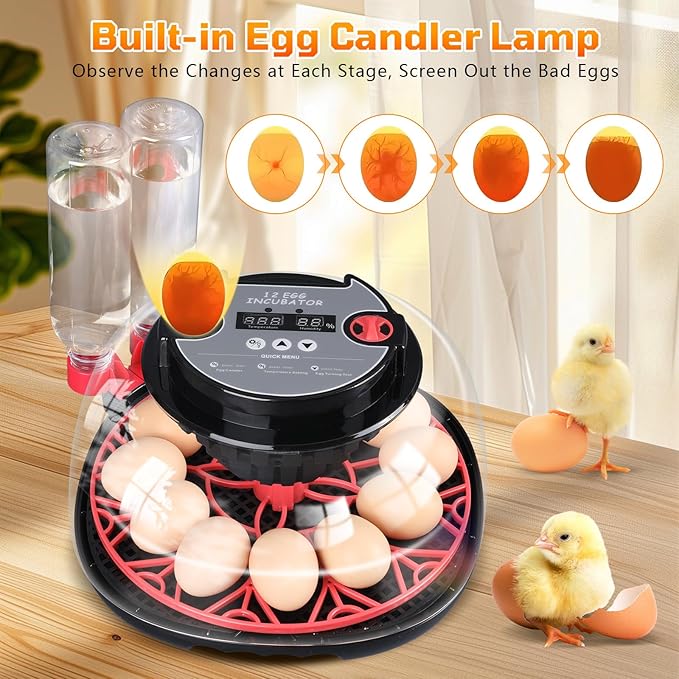 12-Egg Incubator, Automatic Egg Turning Function, Humidity Control, External Water Bottle for Watering, 360° Observation, Suitable for Chickens, Ducks, Geese, and Quails