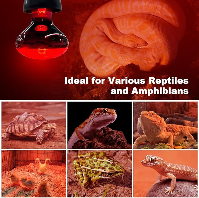 2Pack Infrared Heat Lamp Bulbs, 150W Reptile Heat Emitter Infrared Basking Spot Light, Red Heat Lamp for Chickens Coop Reptile Pets Brooder Use