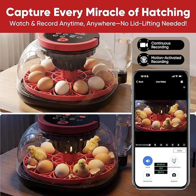 Smart Egg Incubator with WiFi APP & 1080P Camera | Auto Egg Cooling & Turner for High Hatch Rate | 18-24 Egg Capacity with Humidity Control & 360° View for Hatching Chicken/Duck/Quail