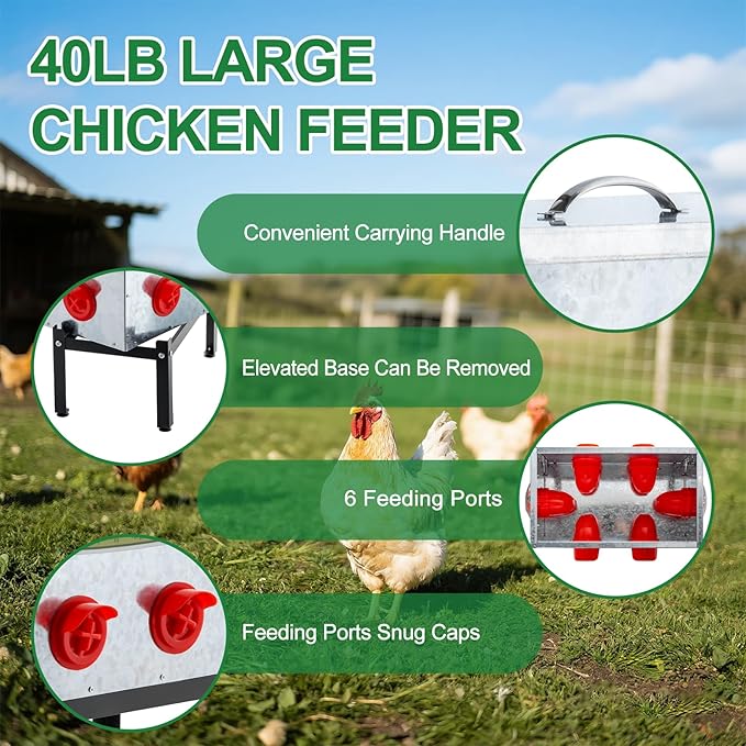 40 LB Automatic Chicken Feeder with 6 Feeding Ports, No-Waste Poultry Feeder with Locking Lid and Adjustable Legs for Inside Chicken Coops Metal Automatic Poultry Feeders (Sliver, 40LB with 6 Ports)