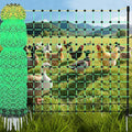 48" x 164' Electric Chicken Fence, Electric Poultry Netting for Chicken, Duck and Goat, Portable Anti-Predator Electric Fencing in Farms, Ranches, and Gardens (16 Posts, 2 Spikes)