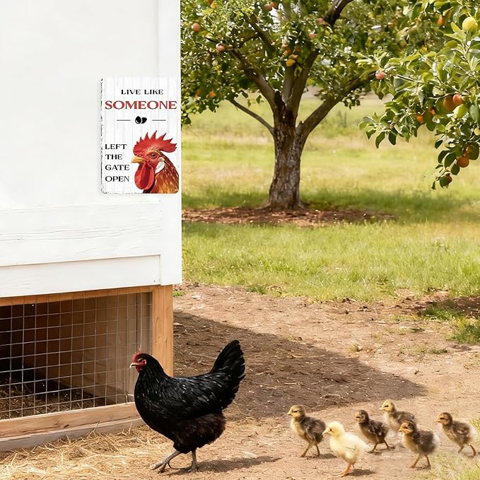 Chicken Kitchen Decor Funny Chicken Gifts Kitchen Wall Decor Farmhouse Country Garden Sign For Yard Home Hen House 8×12 Tin Sign