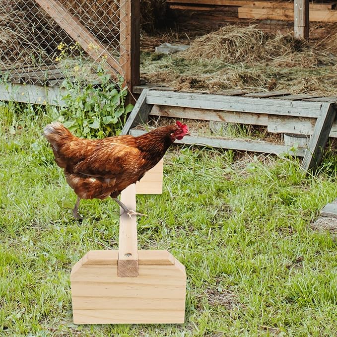 Wooden Parrot Stand 15.75 Inch Roosting Perch for Large Birds and Chickens Bird Cage Accessory for Parrots Conures and Baby Chicks Indoor Pet Play and Training Gym