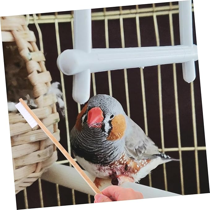 2pcs Multi-Purpose Bird Cage Cleaning Brush Scoop Easy to Use Set for Feeder Perch Coop Pet Supplies Maintenance
