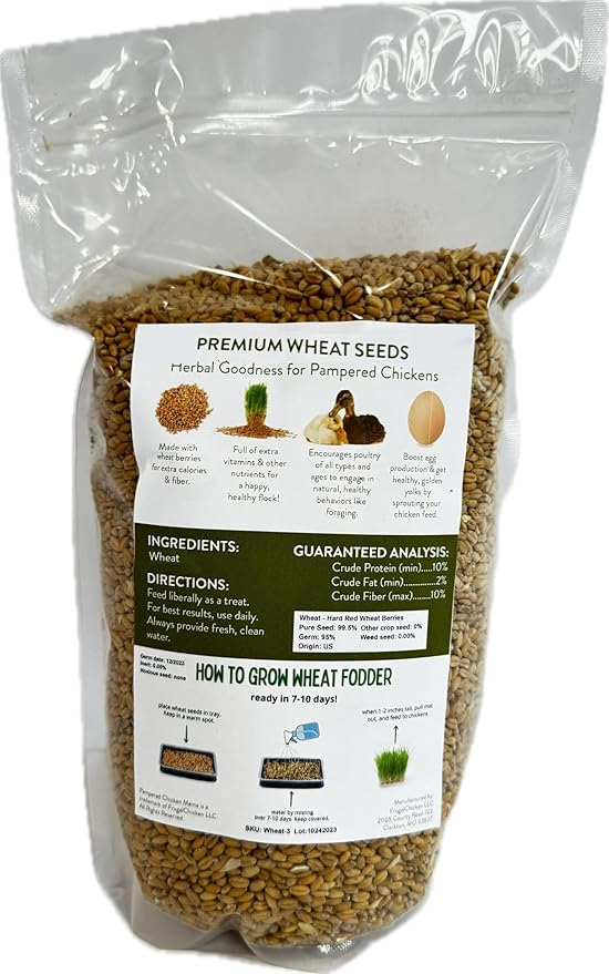 Non-GMO Fodder Seeds for Chickens (3 pounds), Pasture Grass Seed, Wheat Grass Seeds for Growing, Wheat Seeds for Fodder | Pampered Chicken Mama