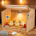 Chick Brooder Box,Brooder Box for Chicks,16" Lx12 Wx11 H, Ducks,Chicken Coop,Quail cage,2 Washable Liners,Adjustable Temperature Control.