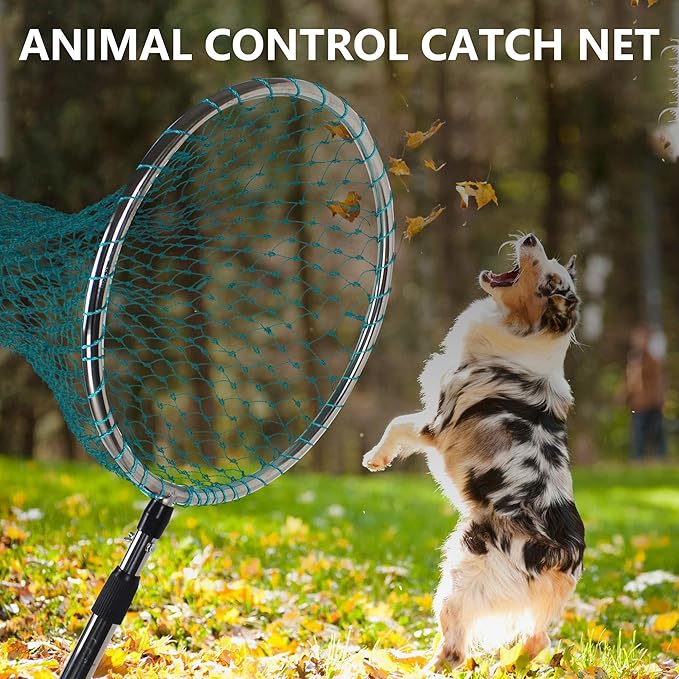 Dog Catch Net Animal Control Net Poultry Catching Trap Tool Length Adjustable for Cat, Pigeon and Others (42~70" Handle with 22" Net Opening) (Stainless Steel, Natural)
