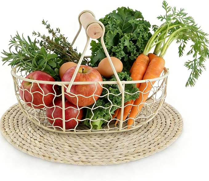 Kitchen Decor Chicken Egg Basket: Egg Basket for Gathering Fresh Eggs, Farmhouse Small Vintage Style Wire Fruit Bread Fresh Egg Holder Countertop, Egg Collecting Basket (White)