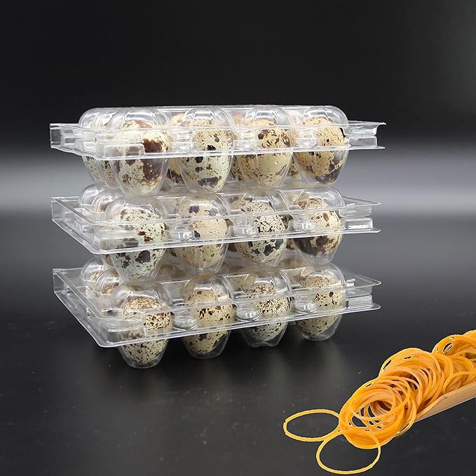 Quail Egg Cartons,Quail Egg Cartons Cheap Bulk 50 Pack of 12 Small Tray,Reusable Plastic Quail Egg Container For Refrigerator Market Farmers Display for Small Eggs,Clear Plastic Egg Carton Holder