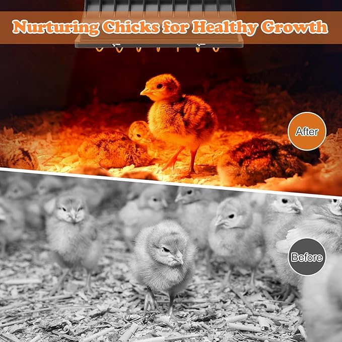 Chicken Brooder Heater for Chicks Coop with 2 Heat Lamps, 250W Hen Chick Warmer with Adjustable Height & Temperature, 6ft Cord, Aluminum Alloy Lamp Shade for Chicks Ducks Livestock Indoor