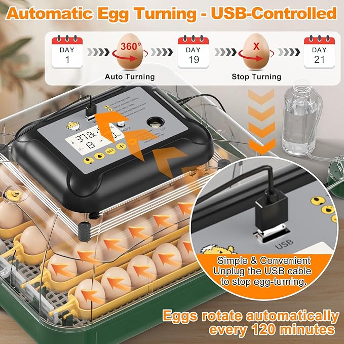 63 Egg Incubator for Hatching Eggs with Auto Egg Turning, High Precision Temperature & Humidity Display, Hatch Day, Egg Candler, Upgraded Motor, Incubator for Hatching Chickens, Higher Hatch Rate