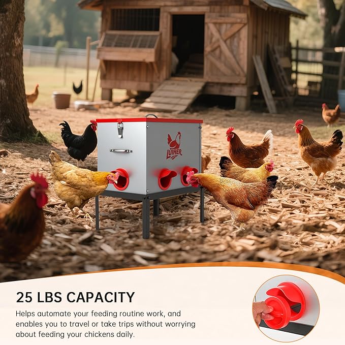 chicken food dispenser 25LB no waste chincken feeder 6 Ports Large Capacity Galvanized Metal Poultry Feeder with Legs and Lids - Reduces Refilling Frequency Chicken Feeding Equipment for Hen Coop