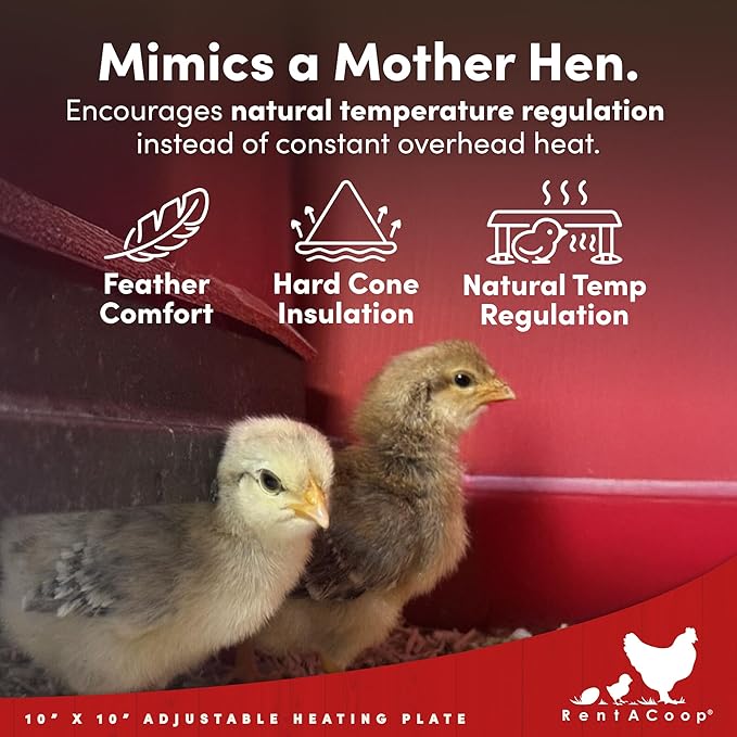 RentACoop 12x12” Adjustable Heating Plate with Hard Anti-Roost Cone Set and Removable Comfort Feathers - Chick Brooder Heat Plate Warms Up to 20 Chicks – Energy Efficient - Safer Than Heat Lamps