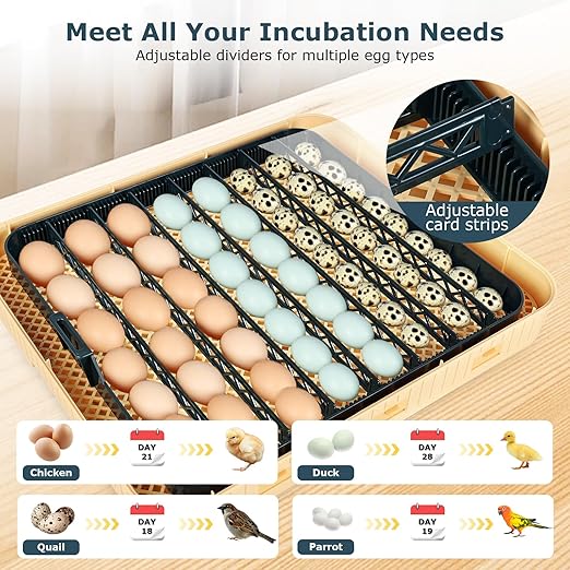 Incubators for Hatching Eggs, 56 Eggs Incubator with Egg Candler, Auto Egg Turner, Temp & Humidity Control, Hatch Day, 360° Viewing for Chicken, Duck, Quail Eggs, Ideal for Farm, School and Lab