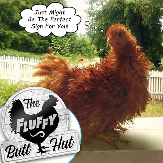 Bigtime Signs Fluffy Butt Hut Chicken Coop Sign - Funny Hen Decor for Yard or Barn - 12" x 11" PVC - Weatherproof and Lightweight Farmhouse Sign - Vibrant Chicken Lovers Gift