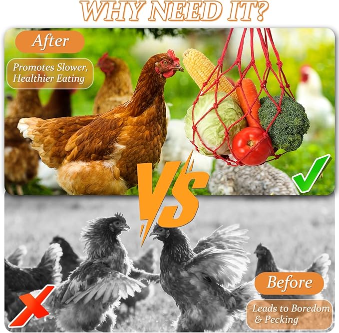3 PCS Hanging Chicken Feeder for Vegetable Fruit,Chicken Foraging Toy with Stainless Steel Hook,Treat Dispenser Poultry, Hens, Duck