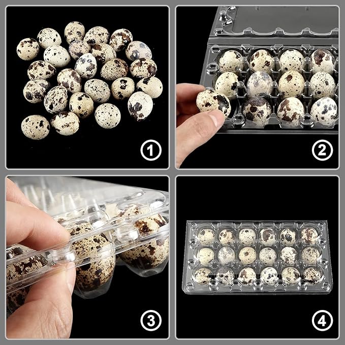 100 Pcs Quail Egg Cartons, 18 Grids Plastic Egg Storage Boxes, Stackable, Reusable for Pheasant & Pigeon Eggs