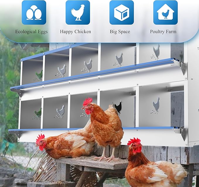 10 Compartments Chicken Nesting Box Laying Boxes for Chicken Hens Ducks Poultry Protect Eggs Chicken Coop Easy Egg Collection Wall Mount Metal Nest Box for Chicken Coop