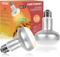 60W Intense Basking Spot Lamp – UVA Daylight Heat Bulb for Reptiles and Amphibians, Simulates Natural Sunrise and Sunset, Ideal for Bearded Dragons, Snakes, Lizards & Chicks | 2 Pack