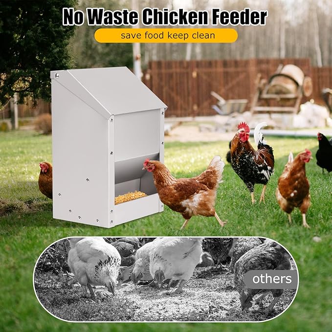 Automatic Chicken Feeder 10lb Metal Chicken Feeders with Lid No Waste Duck Feeder Hanging Chicken Feeder Trough with Scoop for Chickens Ducks Goose Poultry (Small Size)