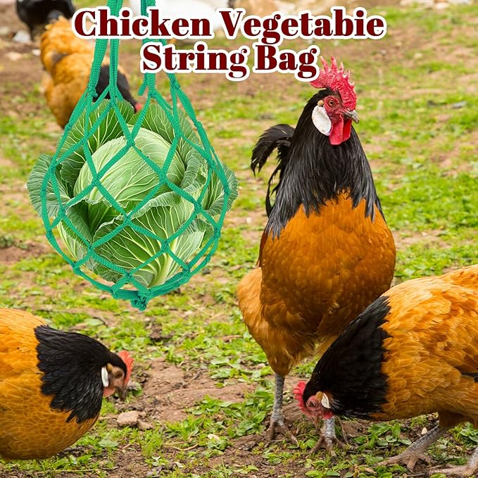 4Pcs Hanging Chicken Net Feeder, Chicken Treat Dispenser, Chicken-Treat Nets for Poultry, Hens, Duck (Green, Yellow, Red, Blue)