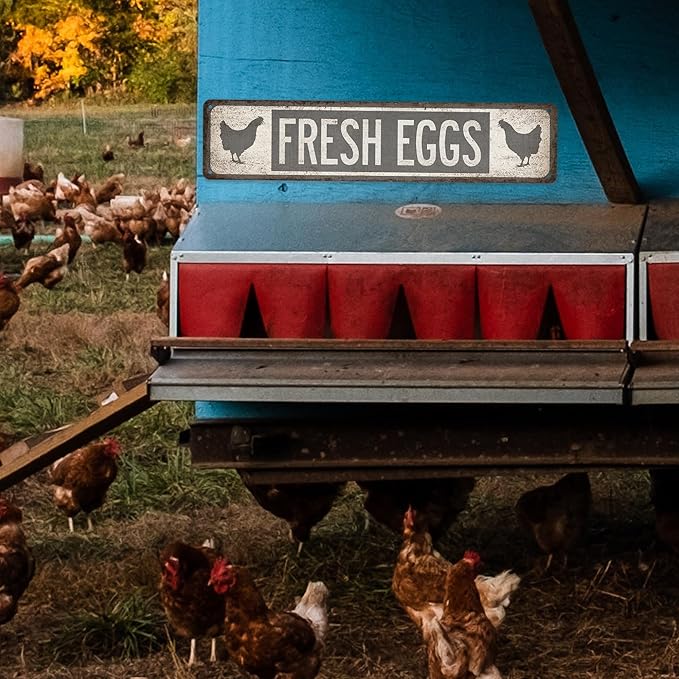 Fresh Eggs Chicken Coop Sign - Made In USA - Farm Fresh Eggs Chicken Décor Kitchen Décoration Hen House Sign Outdoor Sign 104180017016
