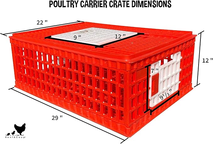 RentACoop Poultry Carrier Crate (Pack of 1) 29" L x 22" W x 12" H for Chickens